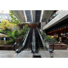 Indoor Commercial Passenger Escalator for Shopping Mall by Experienced Manufacturer